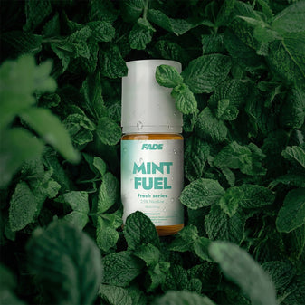 MINT FUEL slider 2